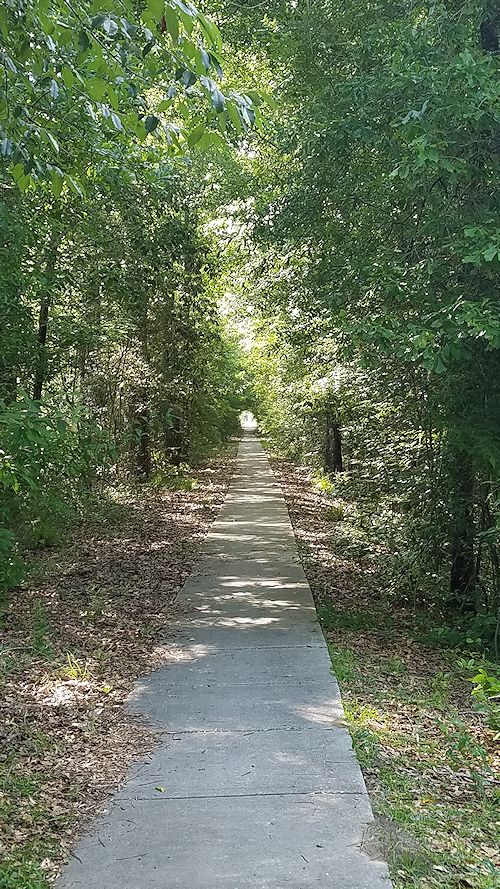 A walk in Abita